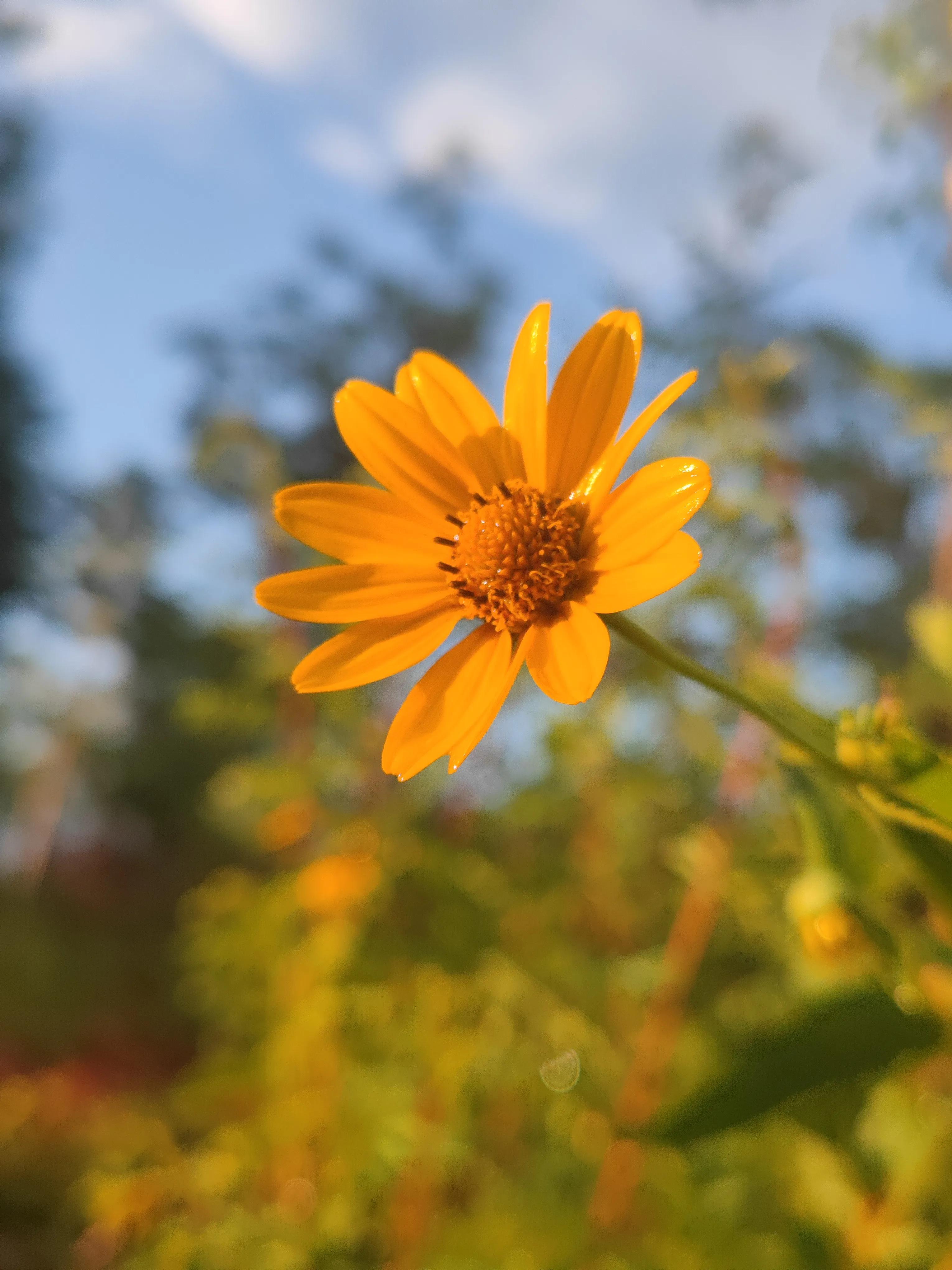 好奇：一个小小凉菜摊关门缘何引发全网关注？