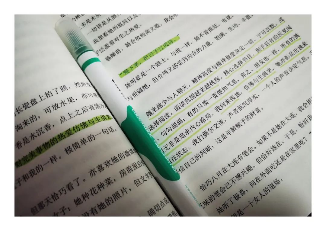 雪小禅终无言,林深时见鹿梦醒时见你全文