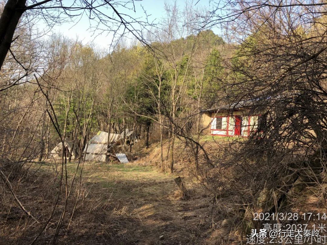 首阳山穿越大坪梁景色怎么样,大坪梁穿越到首阳山攻略