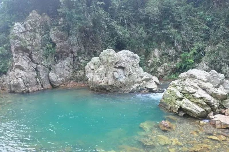 韶关小坑国家森林公园游玩攻略,韶关市内小景点