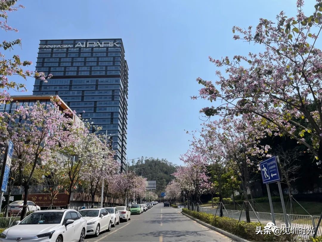 日新月异的城市面貌,日新月异的城区