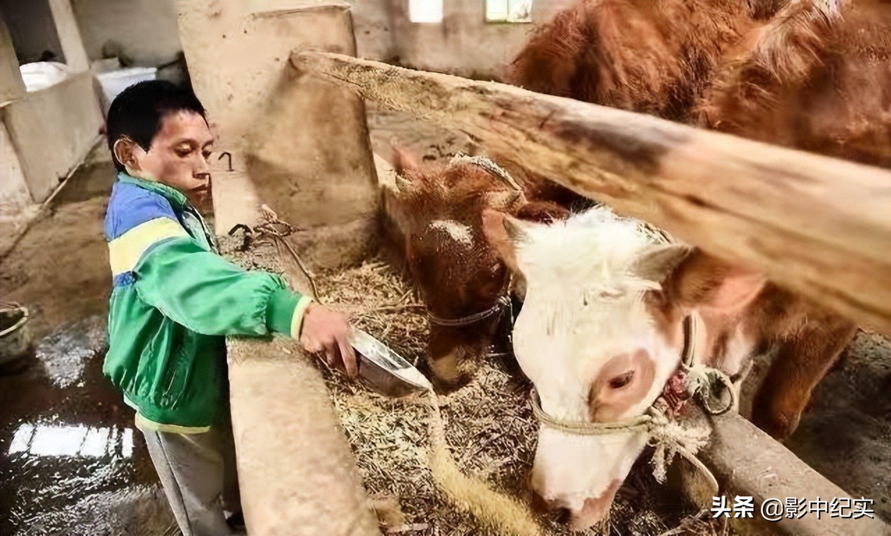 残疾男子一夜暴富,残疾男子年赚百万