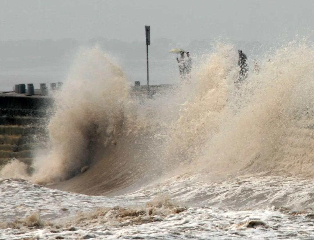 坚定不移沿着习*平近**总书记指引的道路奋勇前进——写在“八八战略”实施20周年之际