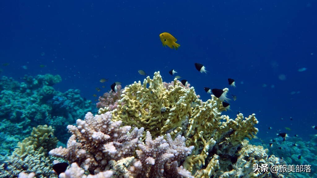 中国最美十大海景图片,中国最漂亮的大海风景