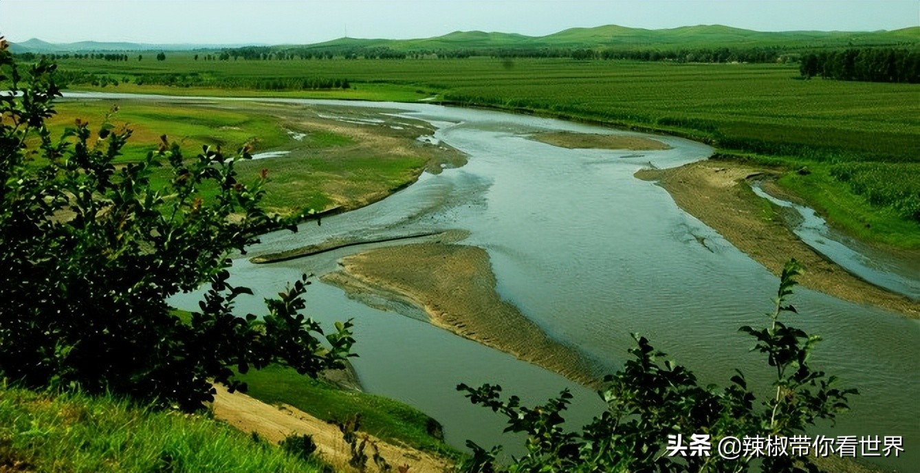 美在黑龙江：走进诗意山水之齐齐哈尔这里是世界大湿地中国鹤家乡