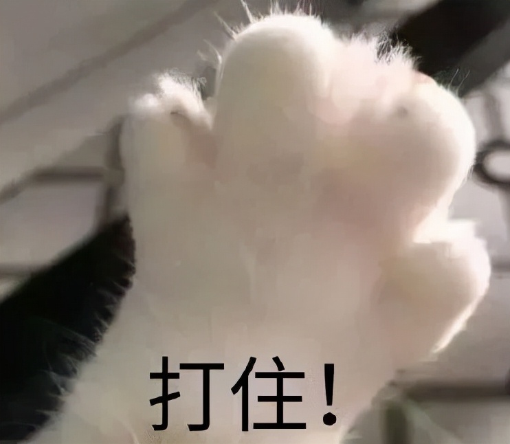 冬季养生如何补肾护阳润燥养阴,好的养生方法