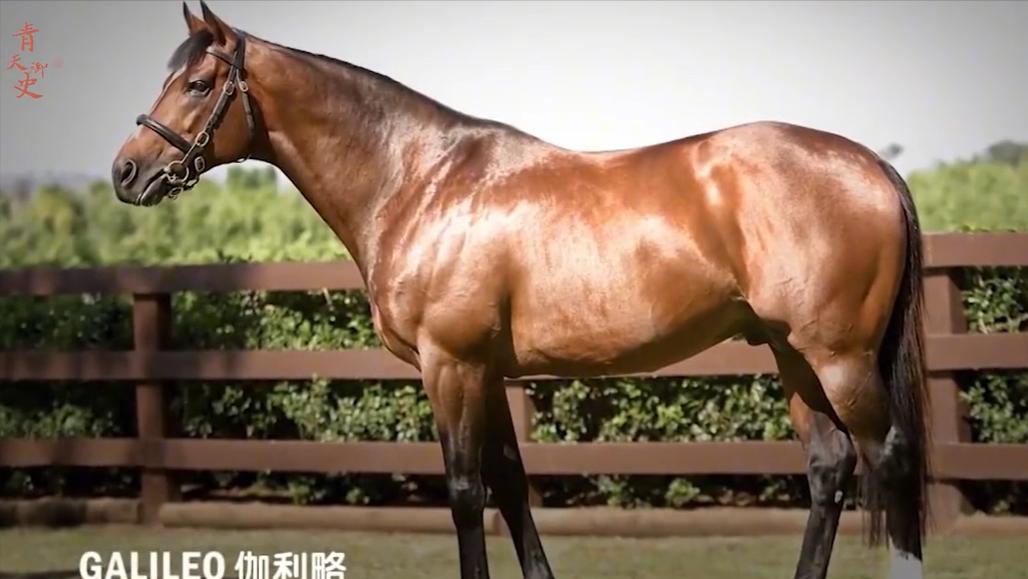 盘点十种神奇动物的价格,盘点五种有巨毒的生物