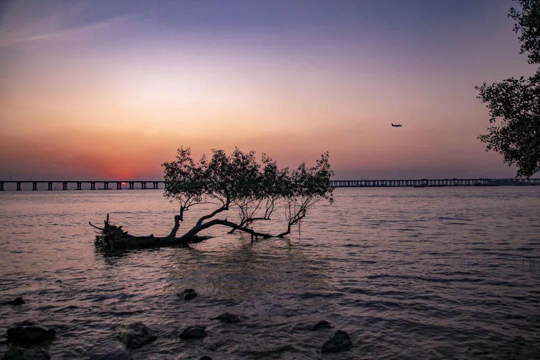 趣宝安旅游攻略,深圳宝安吃玩旅游攻略