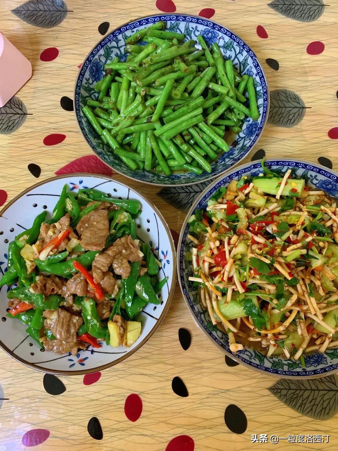 谁言寸草心报得三春晖的人生感悟,谁言寸草心报得三春晖赞扬母亲