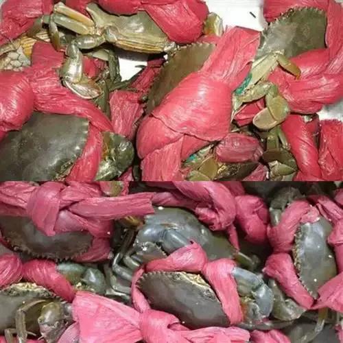 怎么绑大螃蟹最简单的方法,绑螃蟹教程青蟹