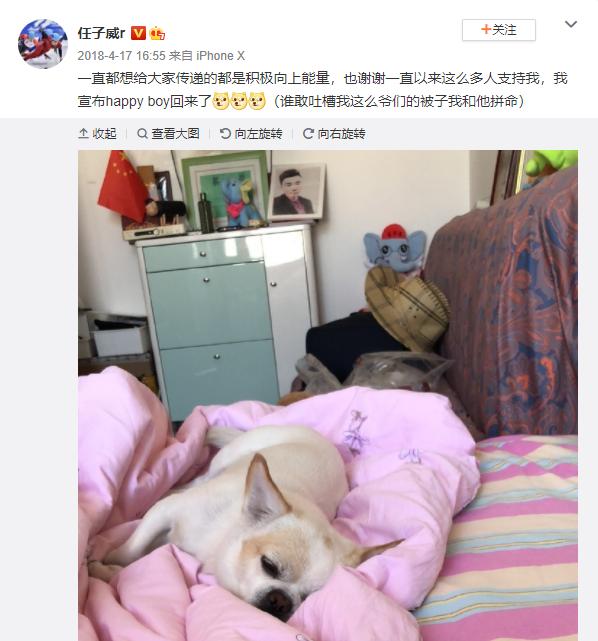 玫斯科普丨冬奥憾失第三金却是爱狗天花板?教你预防“骨科病”