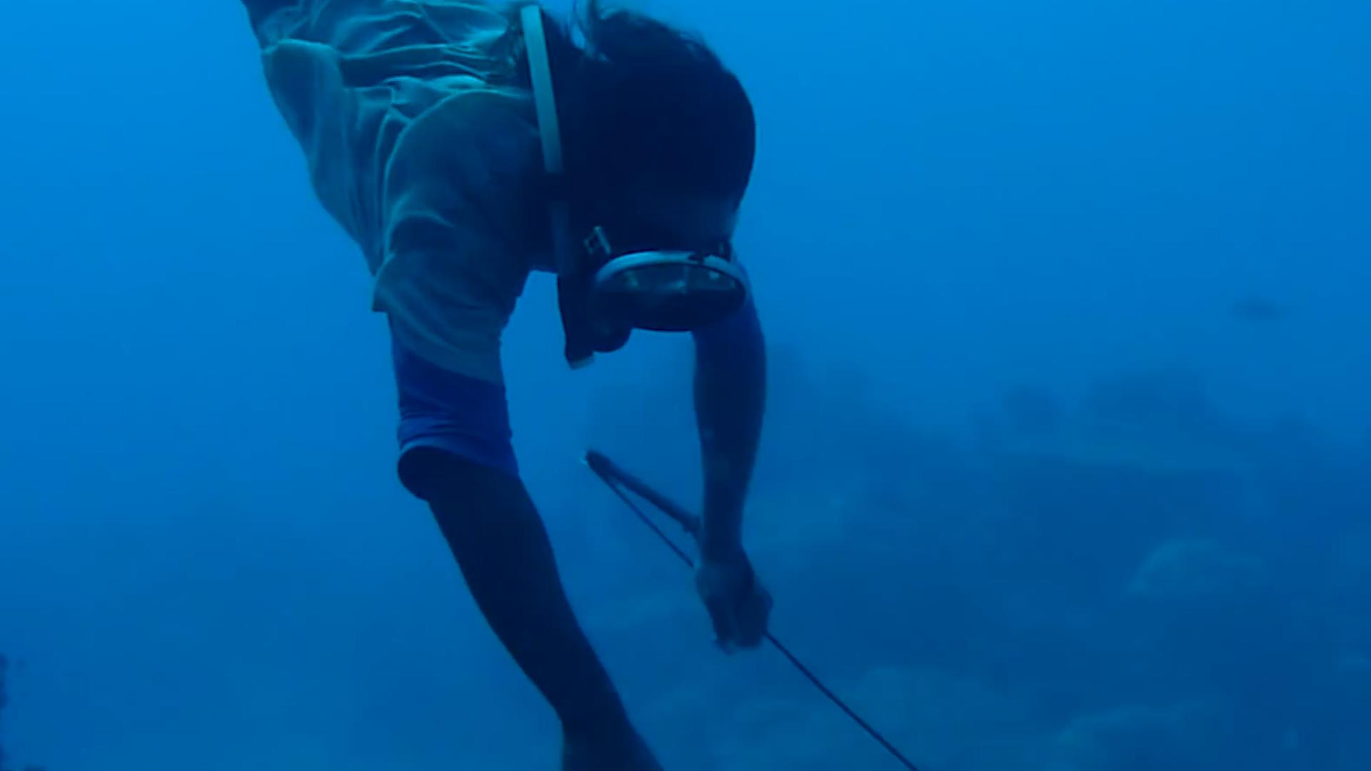 顶级海参多少一头,中国的足球队吃哪家的海参