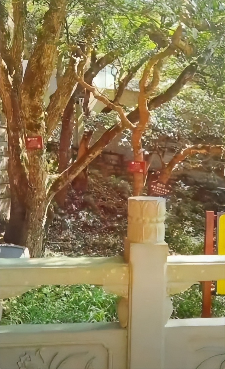 来普陀山什么事不能做,来普陀山有什么注意事项