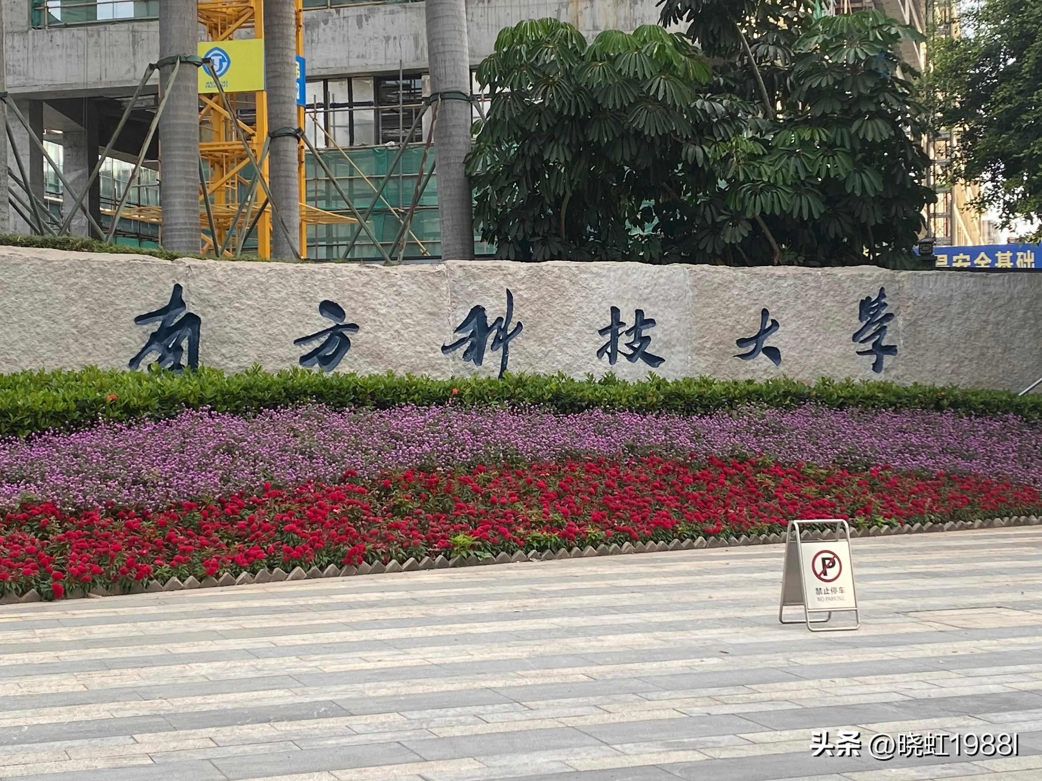 广东省2022学考各校录取分数线,广东省2022春季高考院校排名