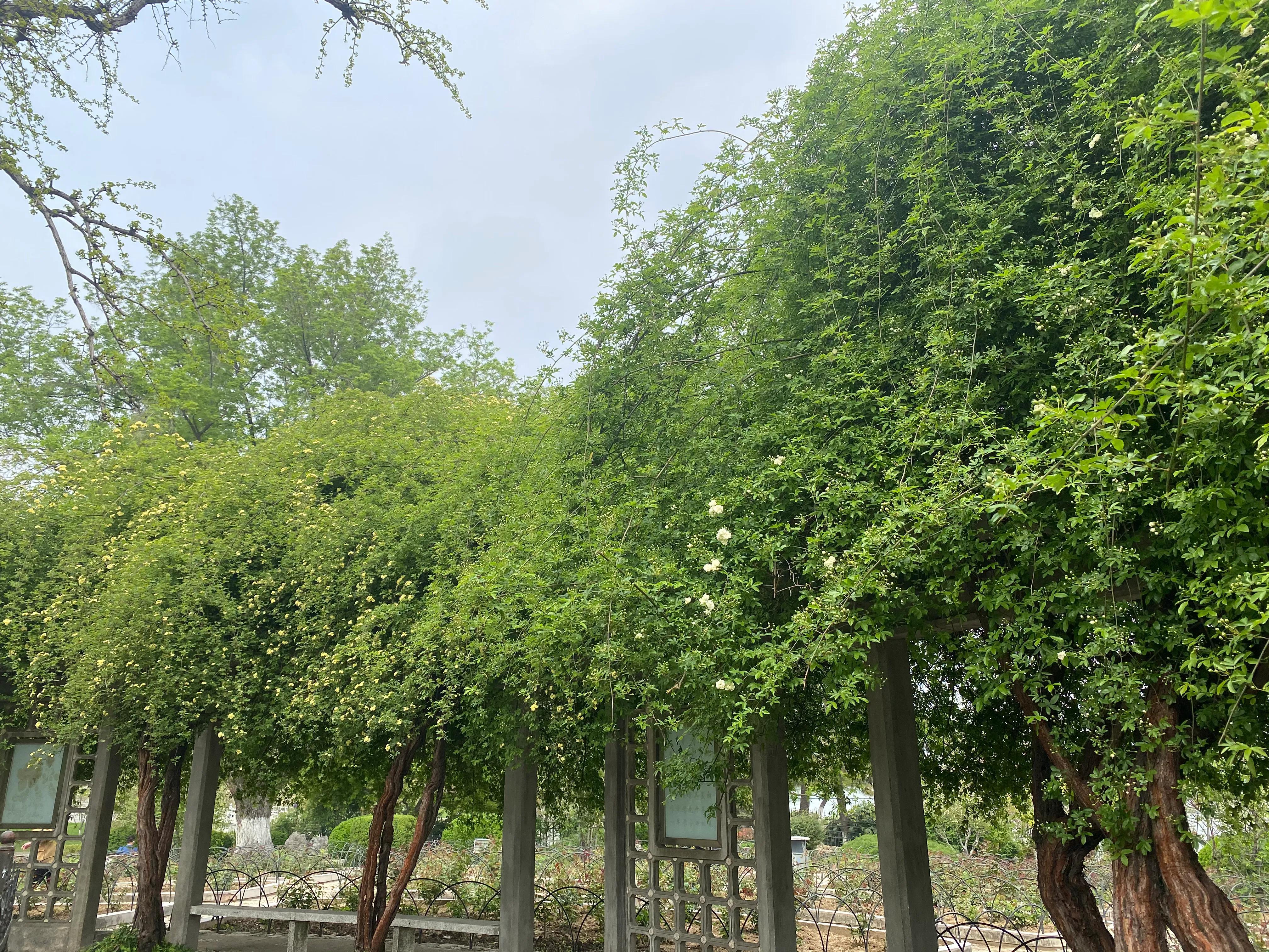 南京人眼中的南京是什么样,江苏人眼中徐州人