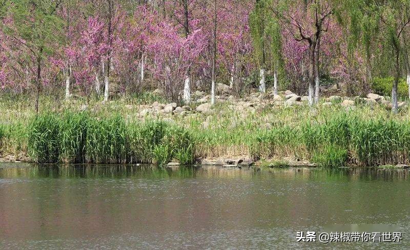 盐城最大的海边城市,盐城海岸线为何一直延伸