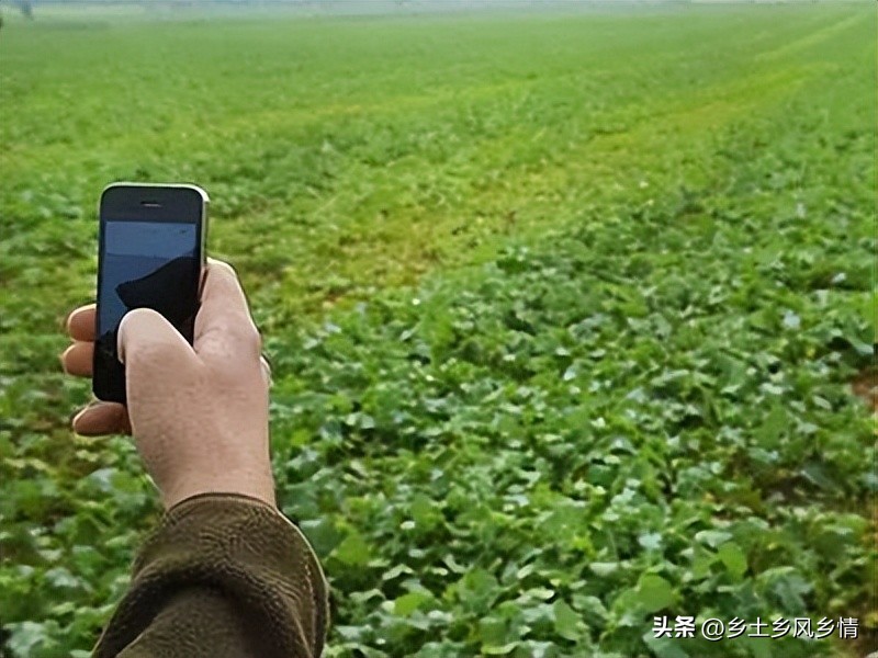 他曾是村民眼中不务正业的啃老族，用手机拍短视频逆袭，年入20万