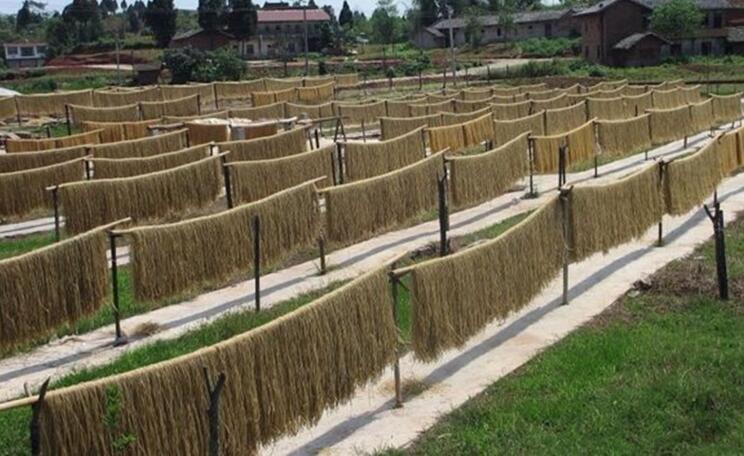 四川有个小县城安岳,安岳小县城在哪里