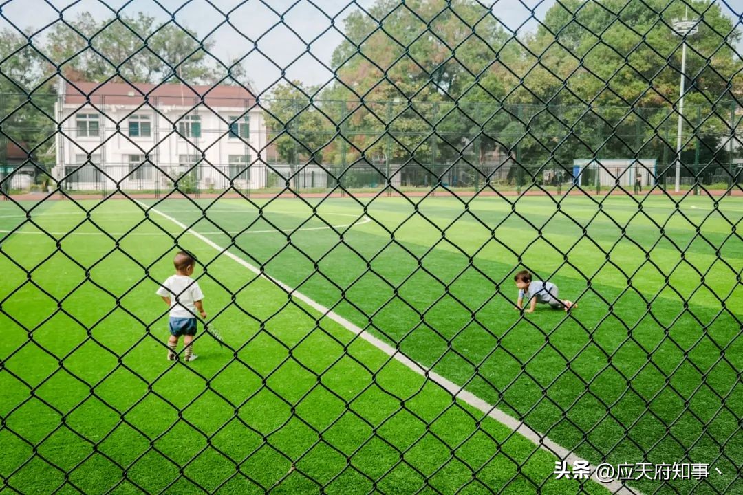 南京板仓街规划图,南京板仓街属于哪个区