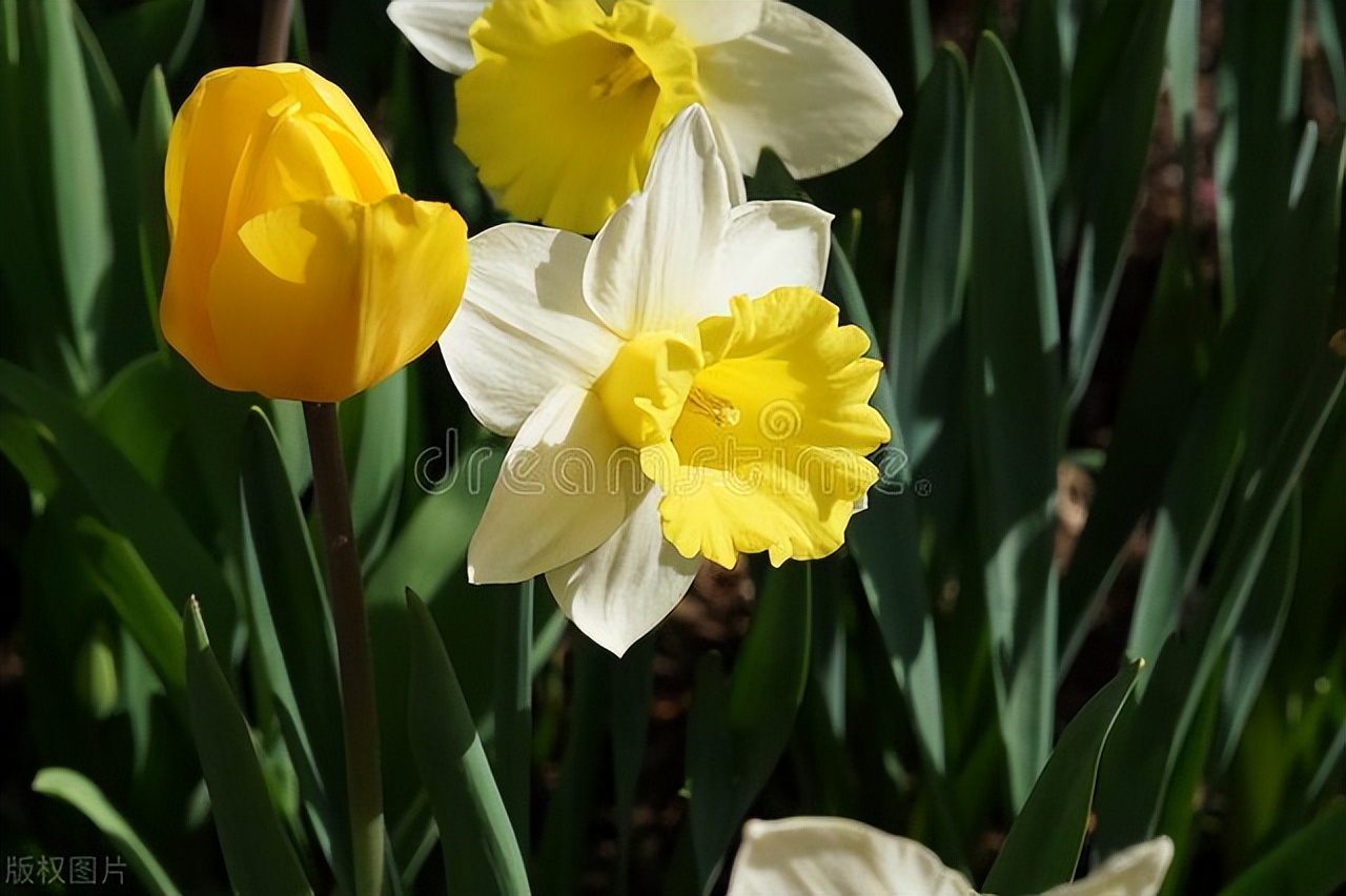 2024年校友会音乐大学排名完整版,校友会艺术类大学排名