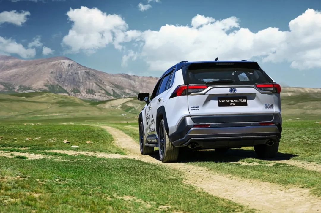 世界杯十大助攻最多排名,世界杯最佳助攻排名