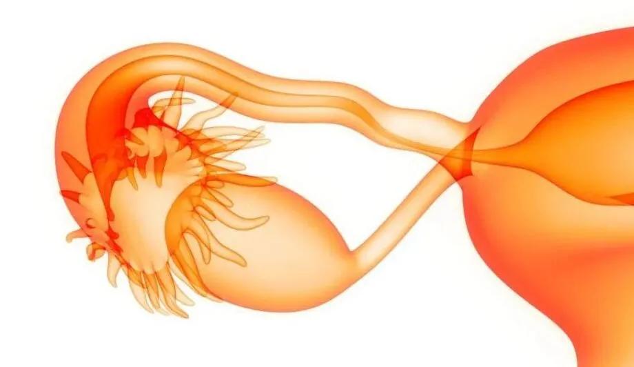 AMH化验单解读,妇科检查AMH是什么意思