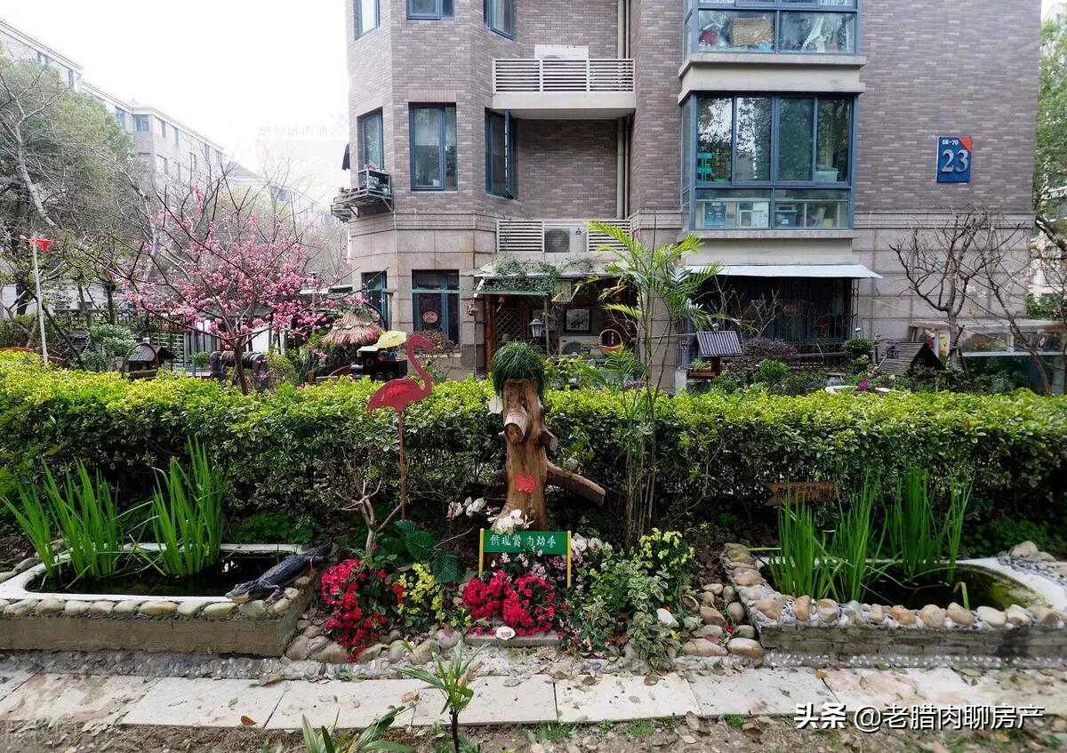 为什么一楼带院是个坑,为什么买房是最深的套路