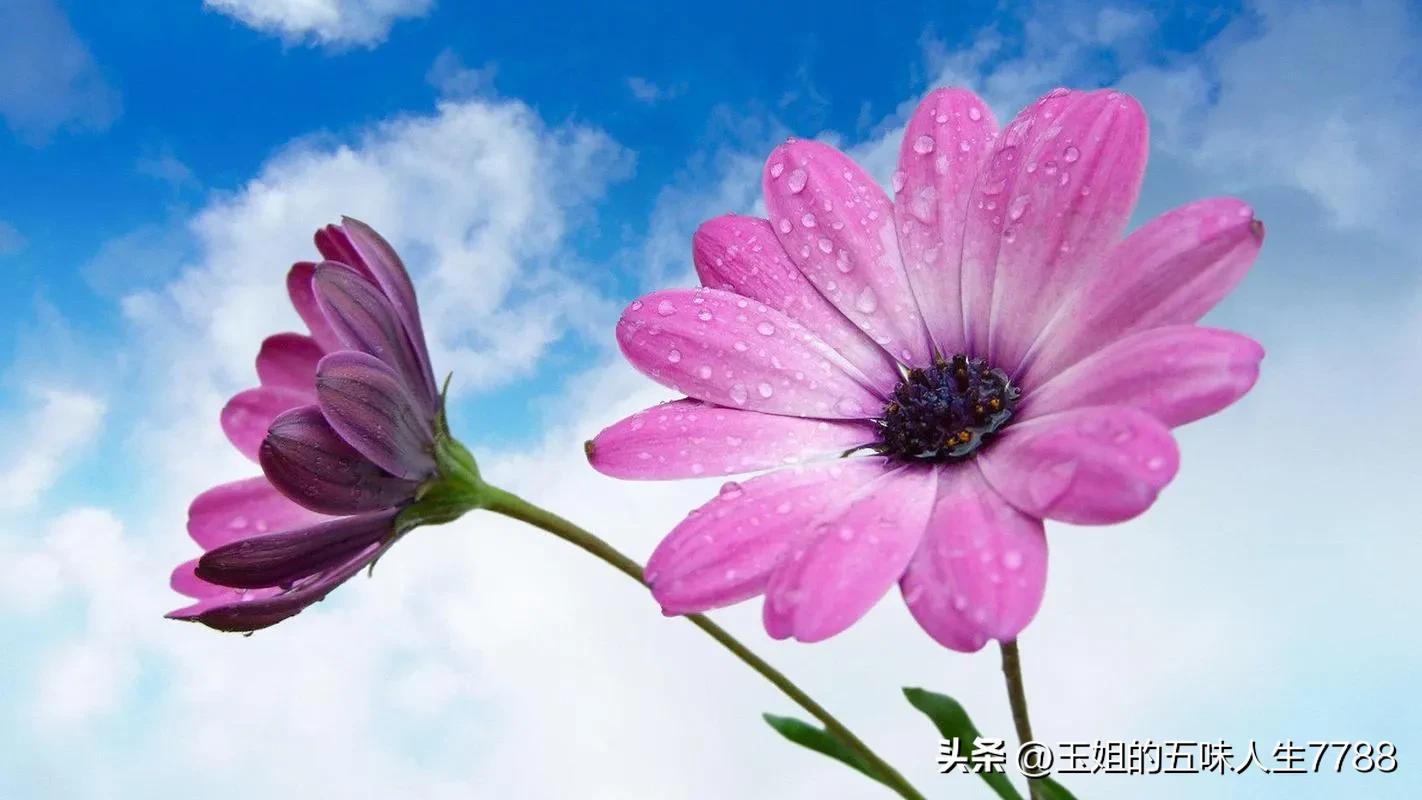 睡觉前躺着玩手机危害有多大,孕妈玩手机对孩子的危害