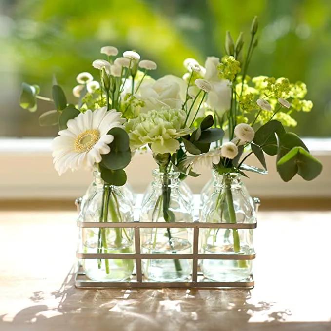 饮料瓶别再丢了,空饮料瓶别扔啦