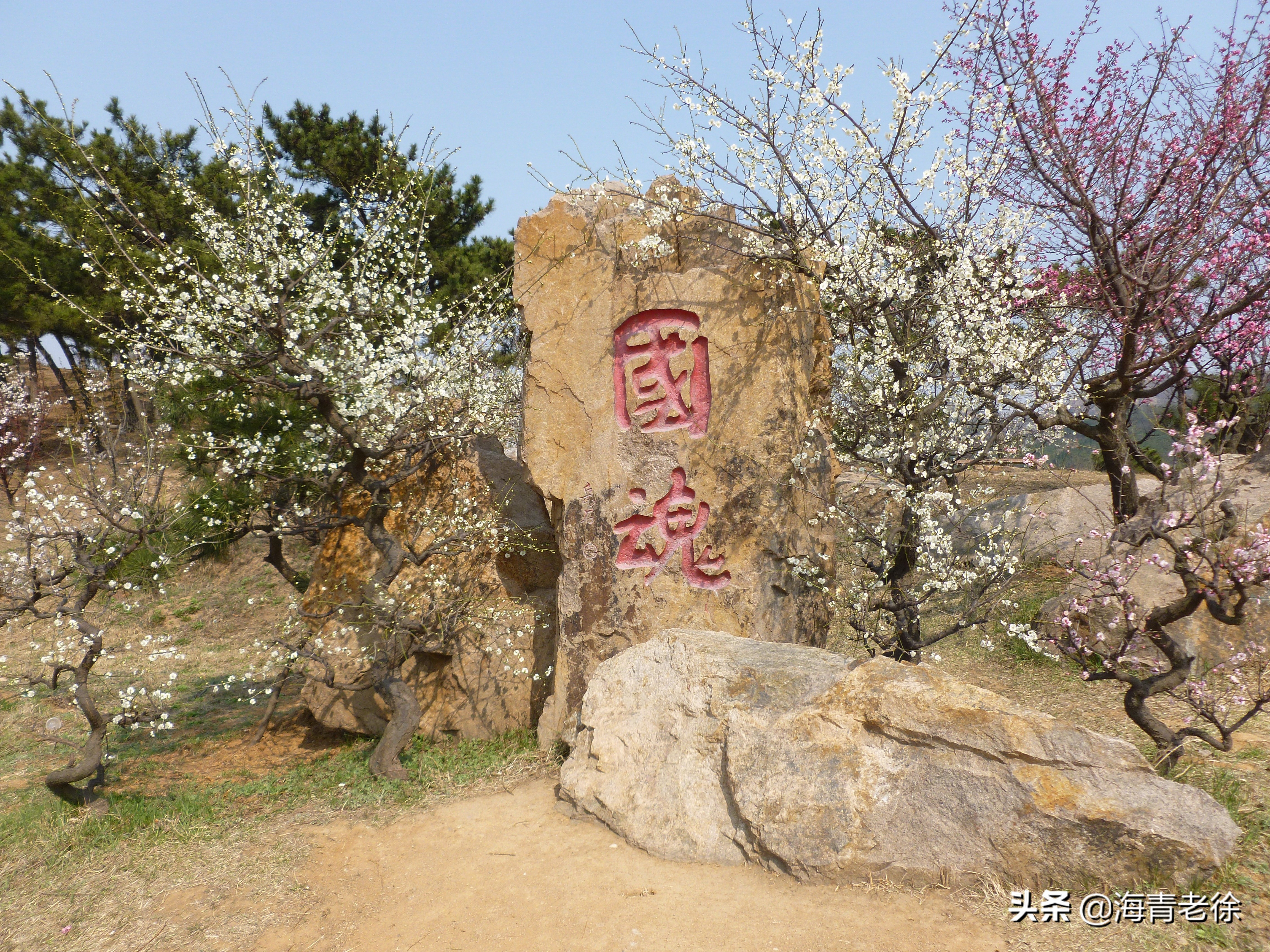 老徐新足迹,老徐自驾游视频