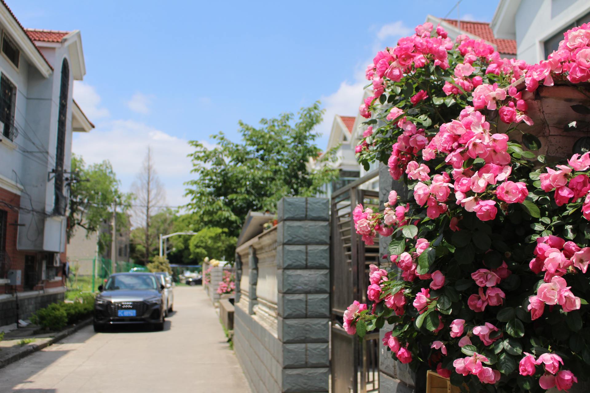 佳能相机100d代值得买吗,2022年佳能100d值得买吗