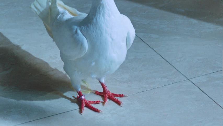 从“受辱”变“*引勾**”，只需一晚！这种恐怖现实也就台剧敢说