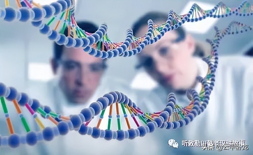 老韩讲了一个故事:残忍的DNA