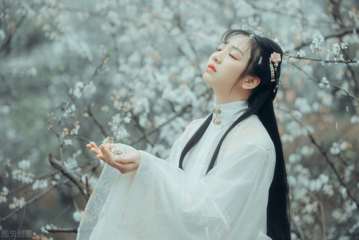 探花郎与公主故事,故事大婚之日后续