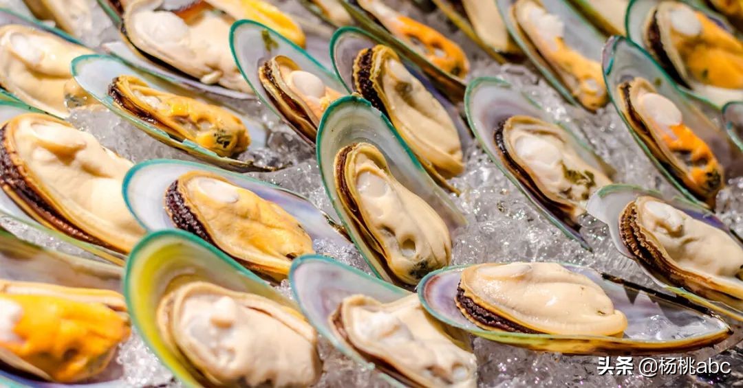 夜宵海鲜高蛋白,晚上夜宵吃什么海鲜不发胖