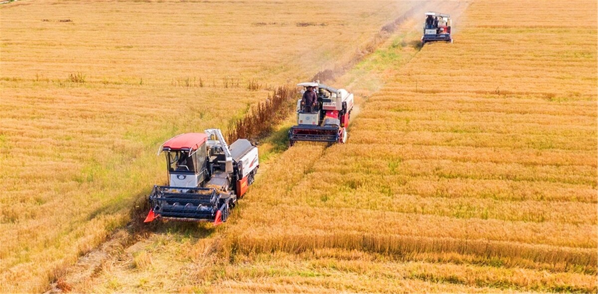 雷沃谷神rg70和沃得118哪个好,雷沃谷神收割机和沃得