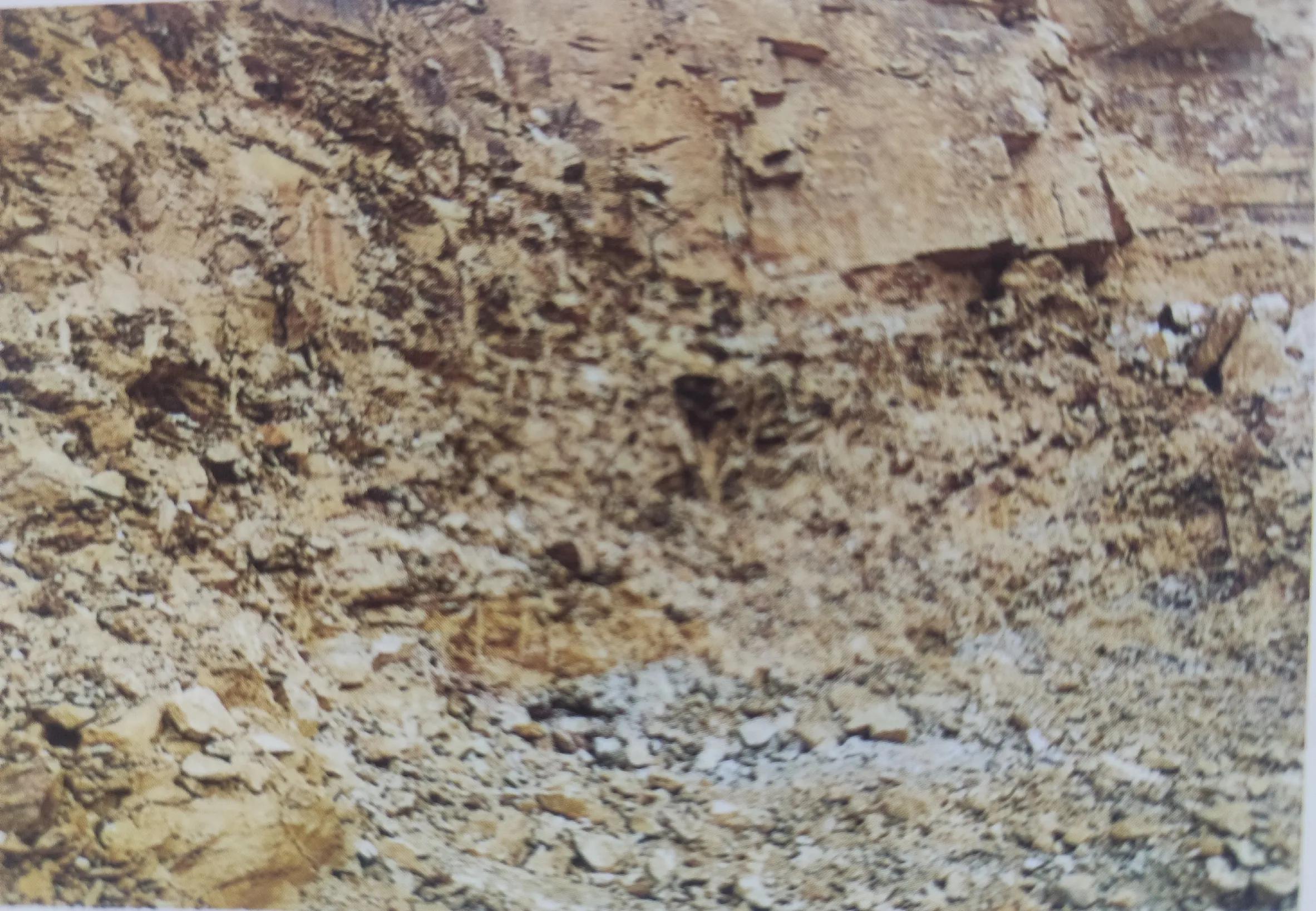 黄龙山朱泥和赵庄朱泥哪个更红艳,朱泥大红袍颜色很红艳吗