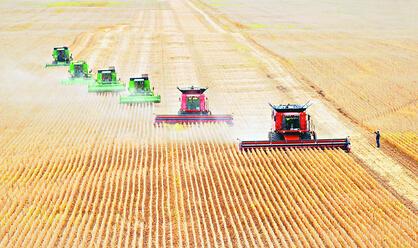 美国给中国出口粮食是真的吗,美国向中国出口粮食多少