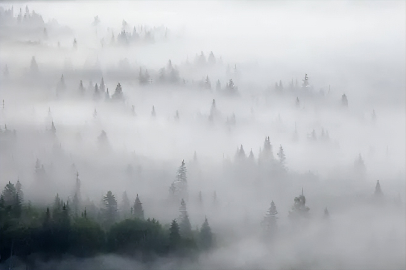 心理学情绪细分,心理学是一门怎么样的科学500字