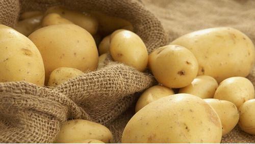 古井贡酒年份原浆哪款适合口粮酒,古井贡酒年份原浆是纯粮食酒吗