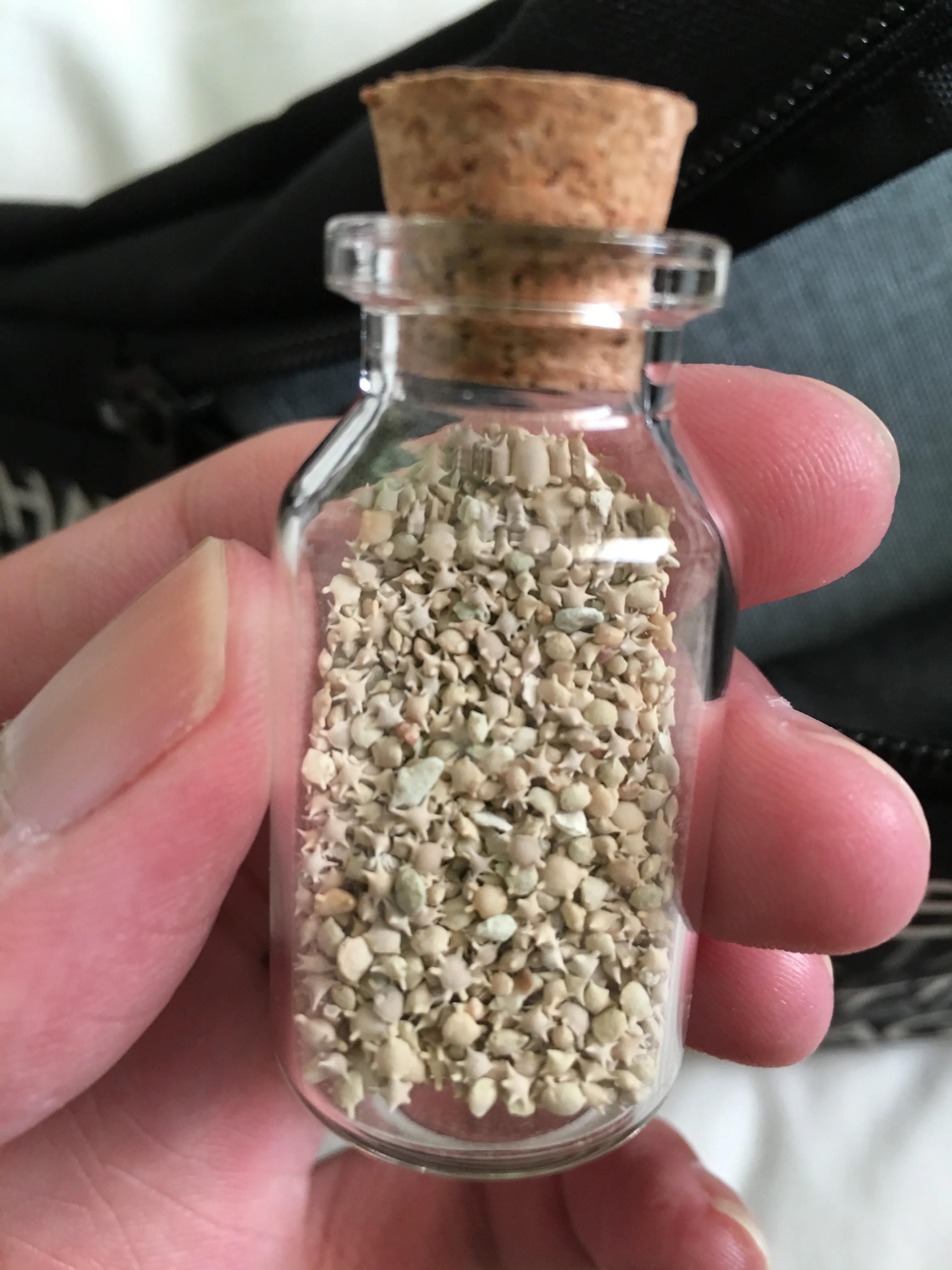 日本冲绳旅游攻略自由行最新,日本冲绳旅游攻略大全