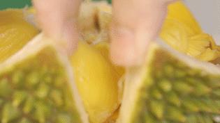 榴莲什么样的好吃,榴莲到底有多好吃