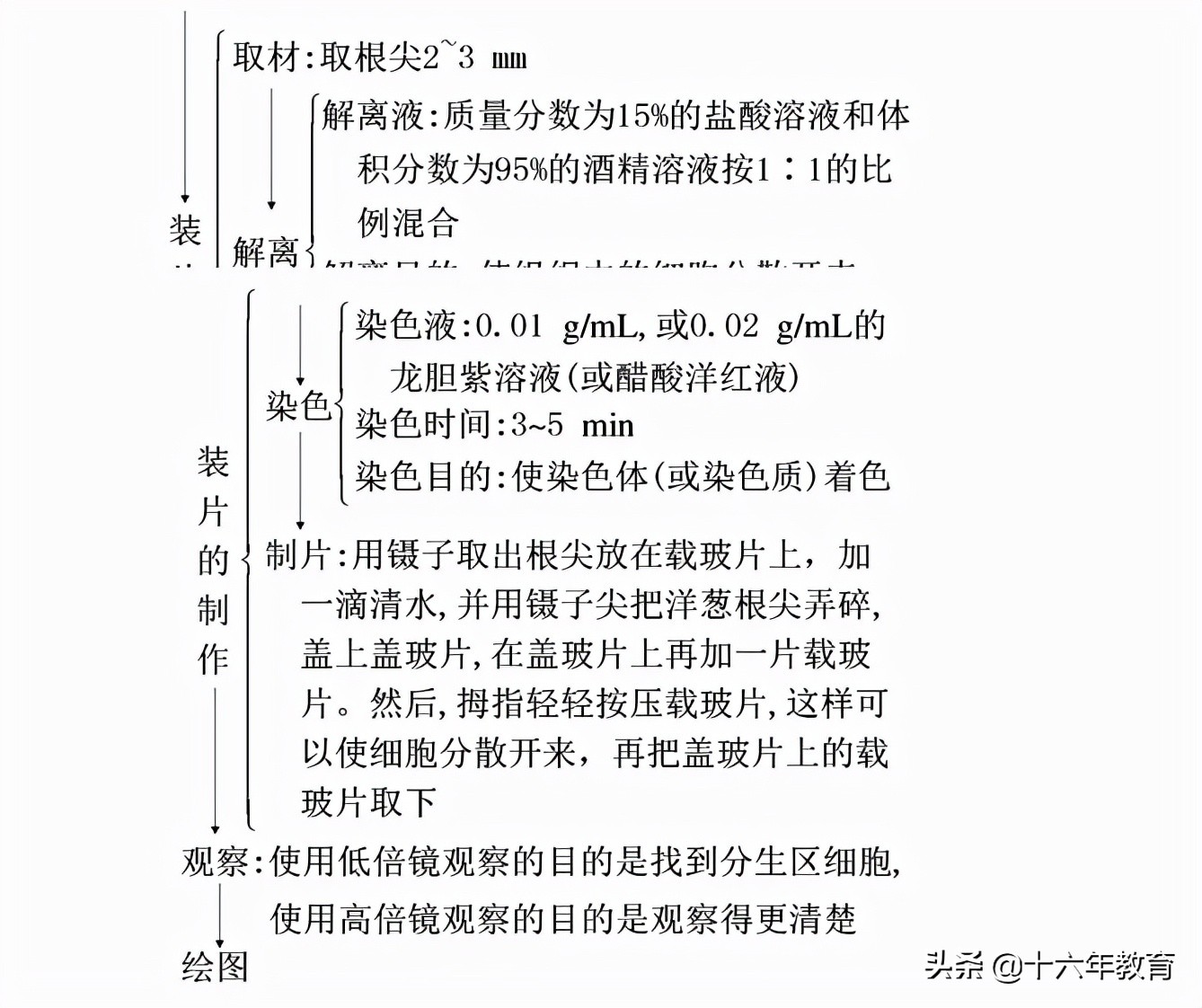 高中生物测验考什么,高中生物必考实验有哪些