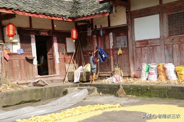 低保户低保被取消后该怎么办,农村低保为什么会取消