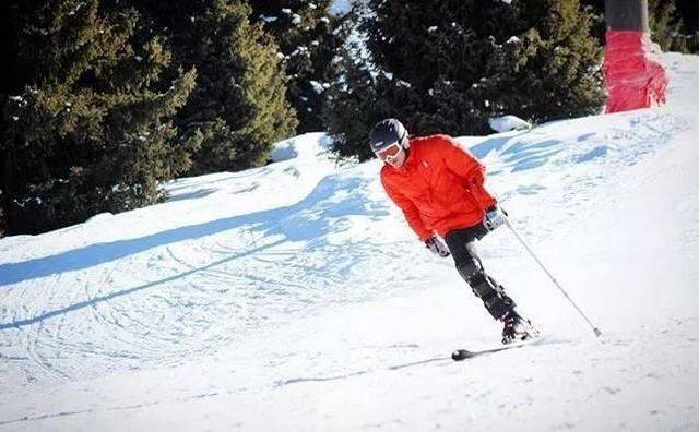 100个难得一见照片，砍伐巨树，运输军舰的巨轮，治疗风湿病的熊