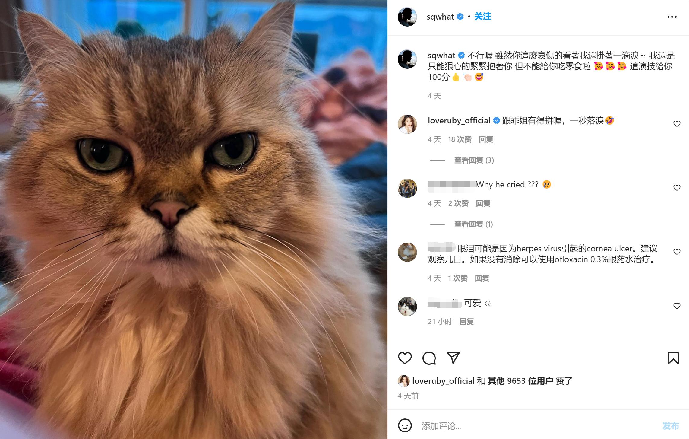 香港疫情严峻！谢贤前妻动两次手术又染疱疹，舒淇叹过年寸步难行