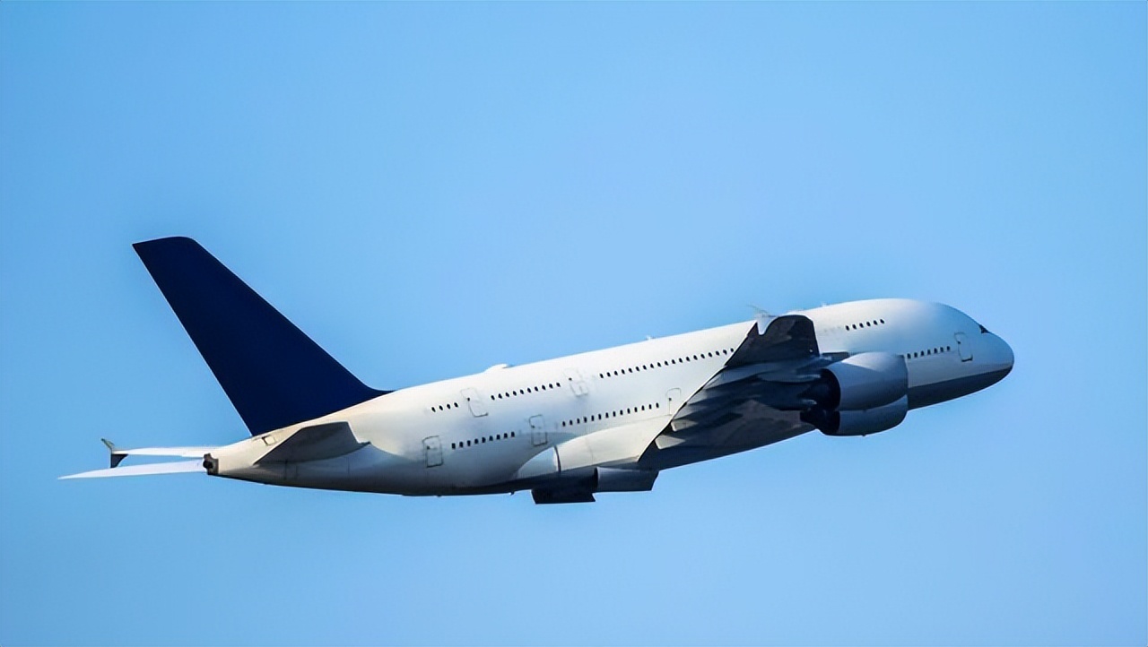 宠物托运怎么打开笼子,宠物托运需要准备什么证件和行李