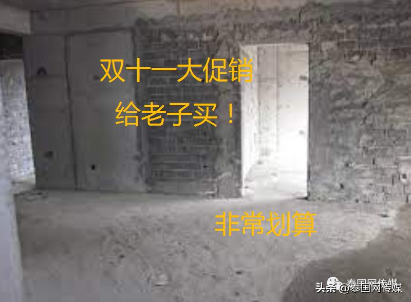 泰国网购诈骗案,泰国清迈网购诈骗被抓