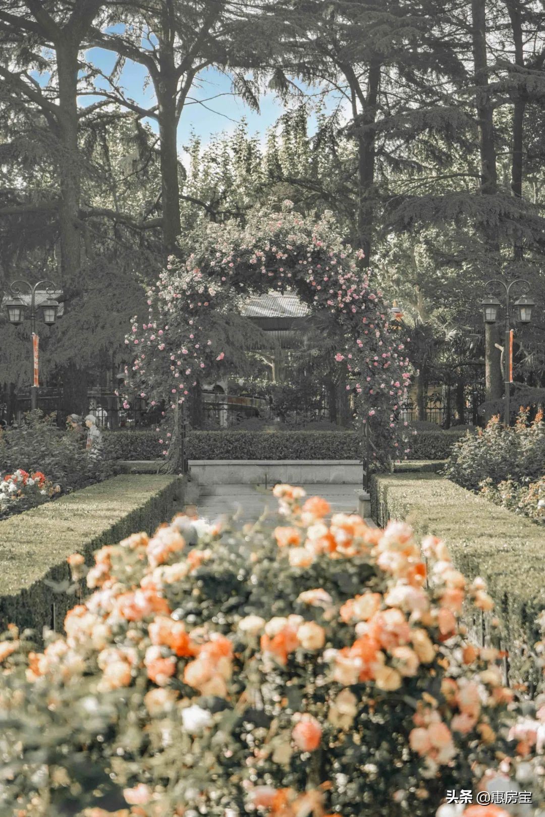 上海公园免费,上海免费公园排行