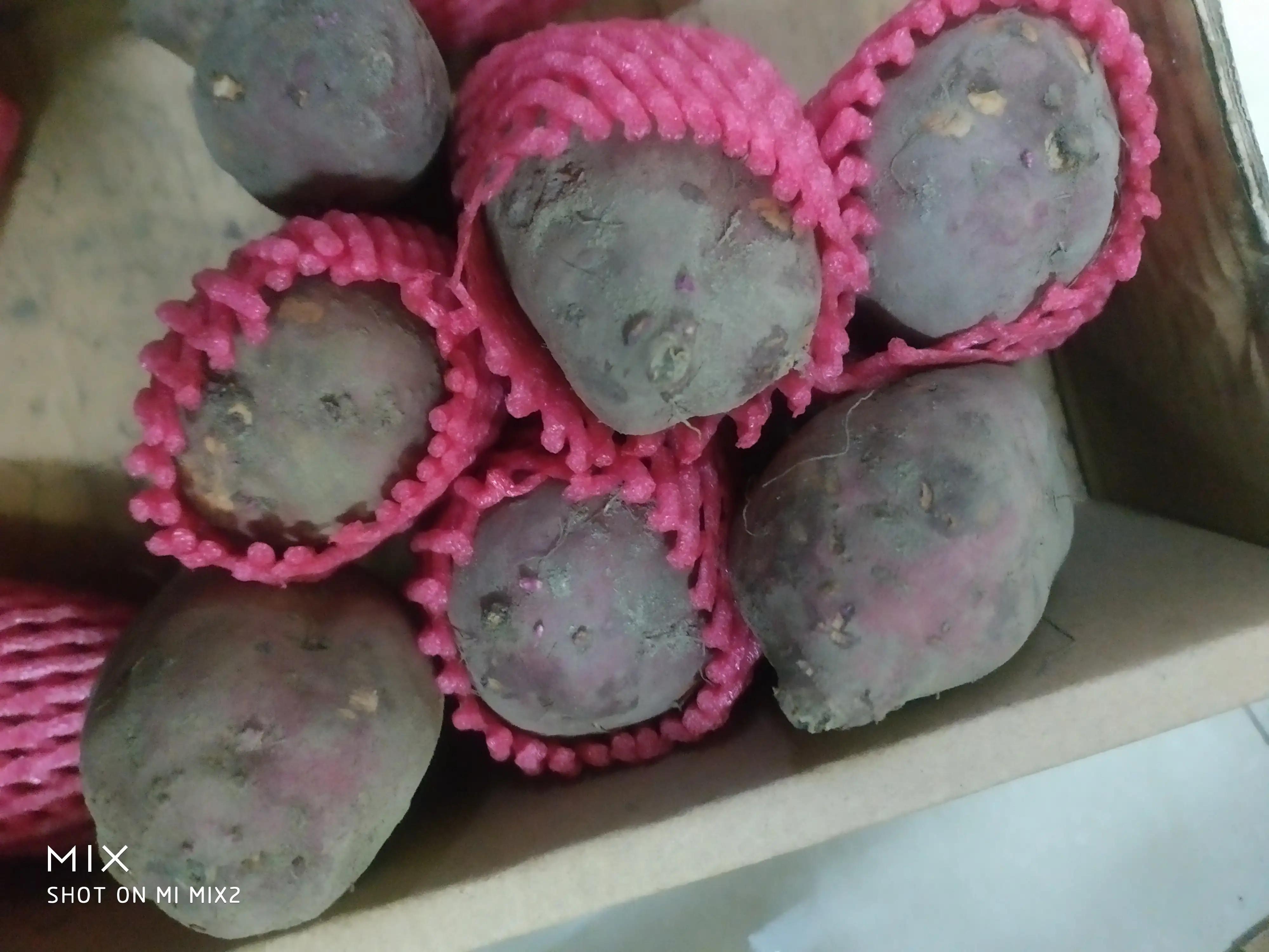 又交了一次智商税了文案,又交智商税了完整视频